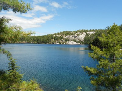 Lake view