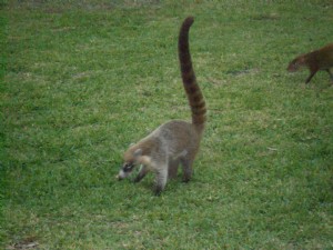 Tails updated by user2