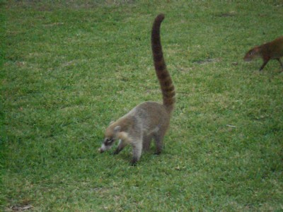 Tails updated by user2